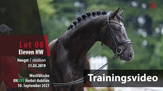 ONLIVE HerbstAuktion Trainingsvideo Lot 8 Eleven HW Hengst v Escamillo  Den Haag [upl. by Cirnek]