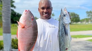 TOP Reef PREDATORS CAPTURED and EATEN Catch Clean Cook Offshore Fishing [upl. by Jarv]