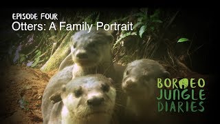 Borneo Jungle Diaries Episode Four  Otters A Family Portrait UHD4K SZtv [upl. by Betteann]