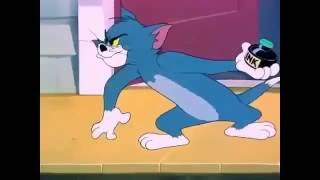 Tom And Jerry Cartoon in Urdu YouTube [upl. by Bundy]