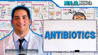 Antibiotics [upl. by Nylirehc]