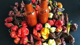 Making Hot Sauce Using The Hottest Peppers [upl. by Aitnohs]