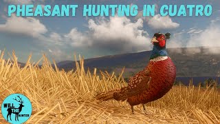 Pheasant Hunting In Cuatro Colinas TheHunter Call Of The Wild [upl. by Glasgo]