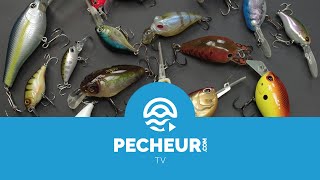 Quels leurres pour débuter la pêche des carnassiers  Tutoriel Pecheurcom [upl. by Launam]