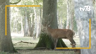 Les nouvelles activités de l’ « Espace Rambouillet » à Sonchamp [upl. by Eleonore409]