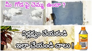 Wall dampness treatment  how to repair wall damage  wall waterproofing [upl. by Haiacim]