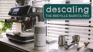 How to Descale the Breville Barista Pro plus Flush Cycle or quotBackflushingquot [upl. by Ianteen]