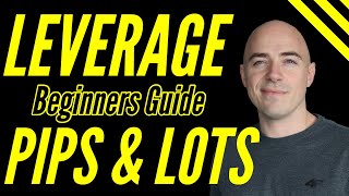 Forex Leverage for Beginners Explained lot sizes and pips [upl. by Rubbico]