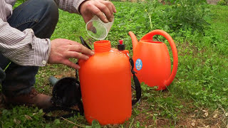 🚫Salva tus tomates  Como eliminar el Mildiu Mi secreto🍅► Cultivo de tomates  tuhuertofacil [upl. by Leitman]