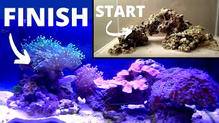 How To Setup A Saltwater Aquarium Step By Step [upl. by Rizan180]