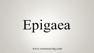 How To Say Epigaea [upl. by Aromat]