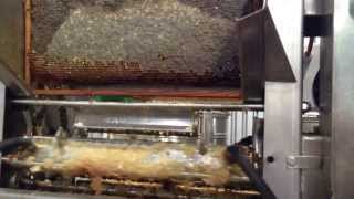 Apitec honey extracting line HD [upl. by Eul]