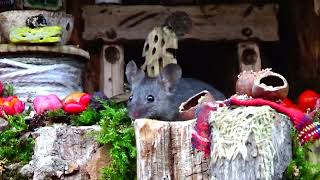 The Real life brambly hedge  the hollow log room [upl. by Norud510]