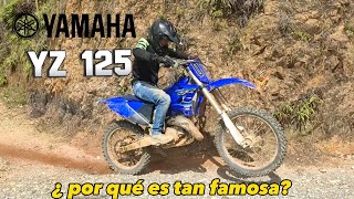 LA GENTE COMPRA LA YZ SOLO POR MODA  YAMAHA YZ 125 ¿POR QUE ES TAN FAMOSA [upl. by Dnomad]