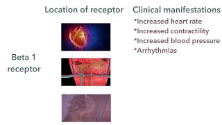 Atropine sulphate injection  Atropine injection  Atropine injection ka kya kaam hai [upl. by Bast]