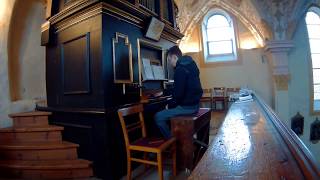 Liquido  Narcotic OrgelChurch Organ Cover [upl. by Schertz]