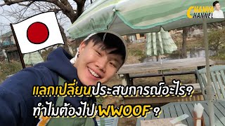 WWOOF ทำไมต้องอยากไปใช้แรงงานที่ญี่ปุ่น   CHANYA CHANNEL [upl. by Tarfe]