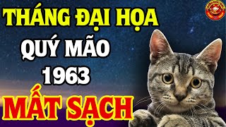 Top 3 Đại Hoạ Cực Lớn Tuổi QUÝ MÃO 1963 Đúng Cuối Năm Nay Vỡ Nợ Mất Trắng Cả Nhà Tán Gia Bại Sản [upl. by Aidin]