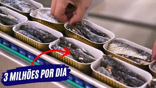 Como a SARDINHA ENLATADA é feita  Processo Industrial [upl. by Loyce]