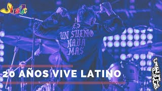 Café Tacvba  Vive Latino 2019  Completo [upl. by Hedvig460]