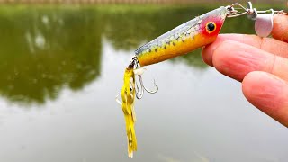 Vintage Lure Challenge  Fred Arbogast Splutterbug [upl. by Enileve555]