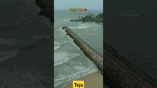 वेंगुर्ला बंदर सिंधुदुर्ग 😍🌴🌊konkan status😍🌴music reels shortsfeed shortvideo reelsvideo [upl. by Atselec465]