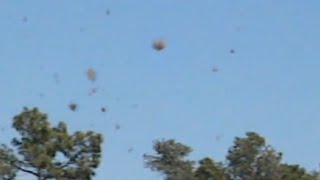 Tumbleweed Dust Devil New Mexico [upl. by Jaime217]