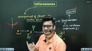 L4 Cymose amp Racemose Inflorescence  Morphology in Flowering Plants  11th Class Biology ft Vipin [upl. by Atiner764]