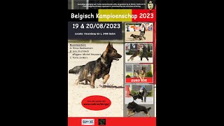 Lottrekking van het Belgisch kampioenschap IGP 2023 [upl. by Dore]