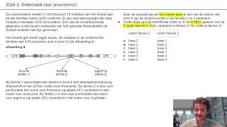 Examentraining vwo bio  3  Onderzoek naar aneurysma’s  20161  vr 15 tm 22 [upl. by Katalin189]