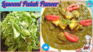 How to make lasooni palak paneer  palak paneer  lasooni palak paneer  Adrini kitchens [upl. by Katleen]