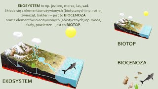 Czym jest ekosystem biologia szkoła podstawowa [upl. by Kistner]