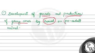 Paedogenesis refers to A Precocious development of gonads B Retention of larval characters b [upl. by Alodie]