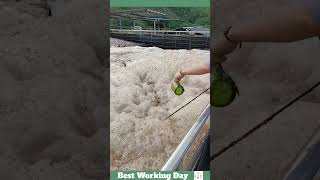 Best working day 1699 Wastewater treatment process with defoamer [upl. by Yanaj61]