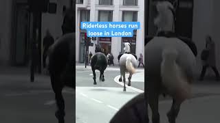 Riderless horses recovered after running loose through London several people injured shorts [upl. by Labinnah641]