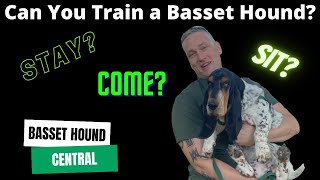 Basset Hound 101  Can You Train a Basset Hound [upl. by Eiroc]