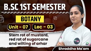 BSc 1st Semester Botany Unit7 stem rot of mustard red rot of sugarcane and wilting of arhar [upl. by Sudderth810]