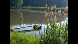 Naturgeräusche am Waldweiher [upl. by Vera]