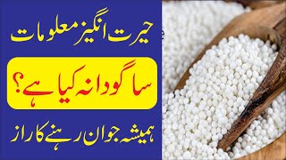 Health Benefits of Sago  Sago Dana k Faidy  Sagodana  Stay Healthy [upl. by Amalee271]