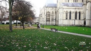 England UK York Minster Park Deans Park Vereinigtes Königreich United Kingdom Garden in York [upl. by Kathleen]