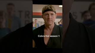 Cobra Kai season 1 [upl. by Peti]