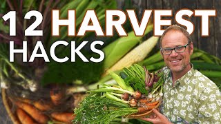 Harvest vegetables and ginger root to go to the market to sell grow flowers on the farm [upl. by Elyc]