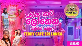 Teddy Cafe Sri Lanka රෝස පාට ලෝකෙ රවුමක්🧸💕  Bhagi amp Dinee Vlogs [upl. by Lindholm921]