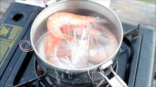 Cooking Live Shrimp [upl. by Kristan]