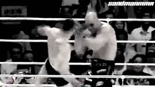 Mir vs Cro Cop Trailer [upl. by Alilahk]