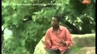 Benishangul Gumuz Bekama Tamene  Amuna [upl. by Omle]