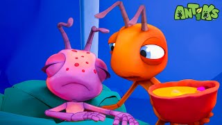 The GREAT Ant Flu  Antiks 🐜  Action Cartoons For Kids [upl. by Macario]