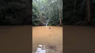 Aguas do Cobre em Canelinha SC depois da chuva em 140920243 [upl. by Klenk]