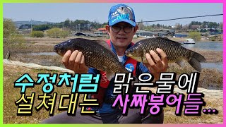 해결사 TV 시즌2 옥금제의 대물붕어들 [upl. by Jehiel51]