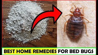 2 Best Home Remedies for Bed Bugs [upl. by Tori]